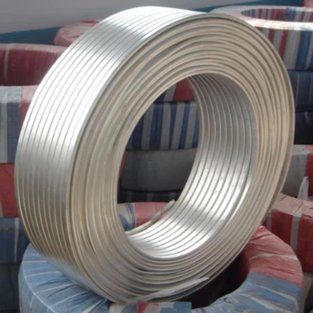Anode Magiê Ribbon Anode